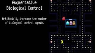 A Primer for Biological Control Featuring PacMan [upl. by Bethesde160]