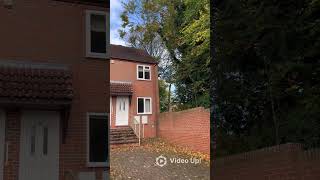 Removing overhanging branches arborist chainsaw treework arboristlife [upl. by Rutra430]