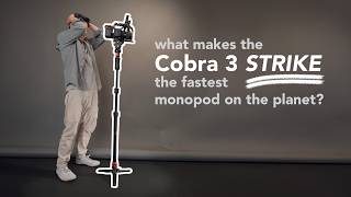 iFootage Cobra 3 STRIKE Monopod Review [upl. by Eulalia37]