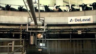 DeLaval PR3100HD Parallel Melkkarussell  Das ultimative Melksystem für große Milchviehbetriebe [upl. by Naoh]