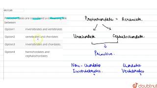 Protochordates are considered a connecting link between [upl. by Jaquiss815]