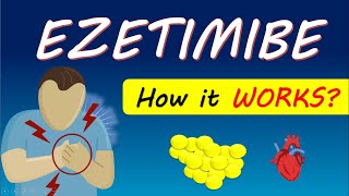 Ezetimibe 10 mg tablet Zetia  Uses Side effects [upl. by Aciretehs]