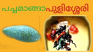 പച്ചമാങ്ങാ പുളിശ്ശേരി ll pachamanga pulissery😋ll kerala style mango curry [upl. by Chor]