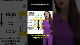 Cell Transport Type Quiz Facilitated Diffusion vs Active Transport vs Simple Diffusion [upl. by Novrej]