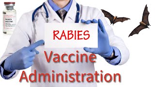 Rabies Vaccination What You Need to Know [upl. by Annij171]