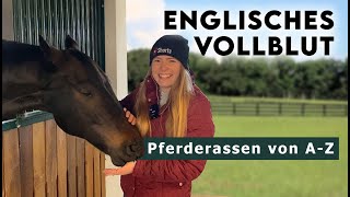 Pferderassen von AZ  𝗘𝗻𝗴𝗹𝗶𝘀𝗰𝗵𝗲𝘀 𝗩𝗼𝗹𝗹𝗯𝗹𝘂𝘁  Das schnellste Pferd der Welt [upl. by Ariayek]