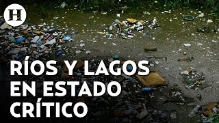 ¡La mitad de los ríos lagos y lagunas de México están contaminados Aseguró así la CONAGUA [upl. by Eeroc]