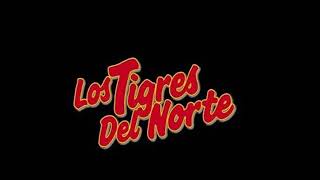 Los Tigres del Norte  Cuestión Olvidada [upl. by Ogeid]