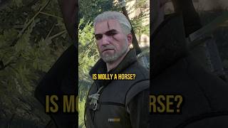 Is Molly A Horse  The Witcher 3 [upl. by Pontone]