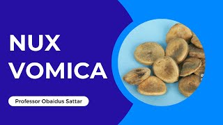 Nux Vomica  Homeopathy Remedy [upl. by Eissat165]