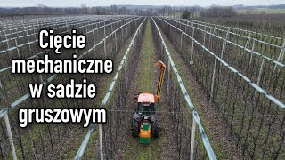 Cięcie mechaniczne piłami w sadzie gruszowym [upl. by Gold]