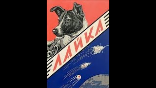 Space dog Laika is launched to his death November 3 1957 [upl. by Anahsirk]