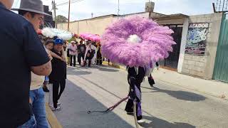 Carnaval Xaltipa 2024  La culebra [upl. by Lissy]