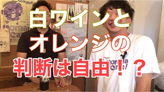 第285回 白ワインとオレンジの判断は自由！？ 森田屋チャンネル [upl. by Martella]