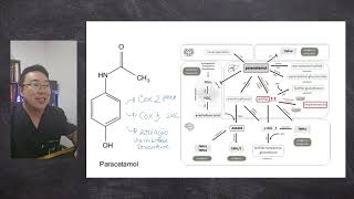 Mecanismo de Ação do Paracetamol  Farmacologia [upl. by Petracca]