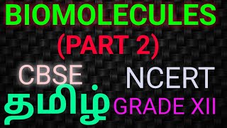 Biomolecules Class 12 Chemistry PART 2  NCERT Chapter 14  One Shot CBSE NEET JEE [upl. by Hakvir]