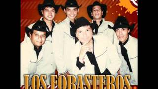 LOS FORASTEROS  EN VIVO EN MISIONES [upl. by Eanel]