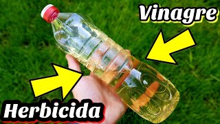 🍂 Usa VINAGRE para ELIMINAR las malas HIERBAS para SIEMPRE  Herbicida casero ecológico [upl. by Noni]