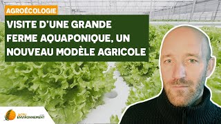 Comment les fermes aquaponiques impactent moins lenvironnement [upl. by Dahlia]