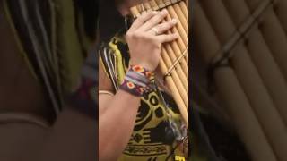 Leo Rojas amp sunpa music flute cultura leo [upl. by Ahsikin]