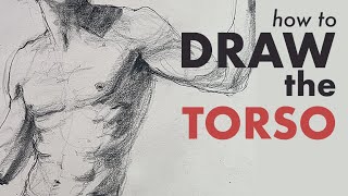 Drawing the Torso in a Dynamic Expressive Gesture Style [upl. by Norved]