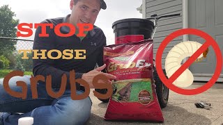 How To Prevent Grubs and Sod Webworm From Destroying Your Lawn [upl. by Roleat303]