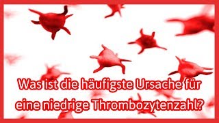 Was ist die häufigste Ursache für eine niedrige Thrombozytenzahl [upl. by Delphina96]