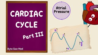 Cardiac Cycle  Atrial Pressure  Part 3  Jugular Venous Pulse  JVP  Cardiac Physiology [upl. by Karl]