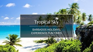 Barbados Holidays Experience Fun Times [upl. by Ennayelsel10]