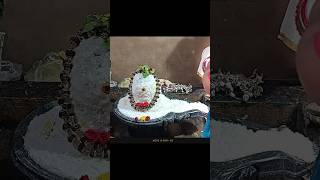 Om namah shivaya bhakti trendingshorts trending viralvideo [upl. by Ahsitruc]