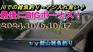 川での雑魚釣り～アジ入れ食い♪最後にBIGボーナス！20241016 ｂｙ館山雑魚釣り [upl. by Oramug107]