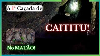 A 1ª Caçada de CAITITU no MATÃO [upl. by Enoitna18]