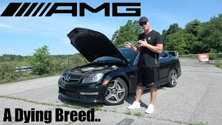 The Best C63 AMG Ever Made 62L Screaming NA V8 In A Luxury Car  Owner Review [upl. by Della14]