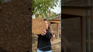 DIY Block Treat For Chickens backyardhomestead makeyourown diy chickenkeeping recipe chickens [upl. by Crean]