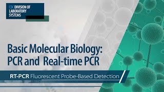 Basic Molecular Biology PCR and RealTime PCR – RTPCR Fluorescent ProbeBased Detection [upl. by Ahsian]