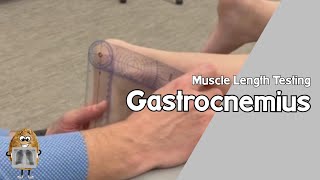 MLT Gastrocnemius Muscle Length TestingNonWeightbearing [upl. by Cyrus]