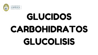 glucidos carbohidratos glucólisis [upl. by Irec]