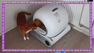 REVIEW ZEDAR K900 AUTOMATISCHE KATTENBAK  Sophie Hol  2023 [upl. by Alleris385]