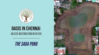 EFIs Oasis in Chennai The Sada Pond [upl. by Jansen]