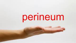 How to Pronounce perineum  American English [upl. by Luamaj868]