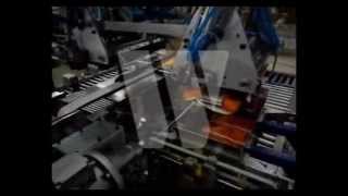 OIL POUCH CARTON PACKING LINE  Warade PackTech Pvt Ltd [upl. by Ahsemrak]