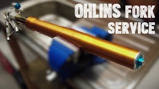 How to Service Ohlins Forks Aprilia Tuono 1100 v4 Factory fork seal replacement [upl. by Novrej]