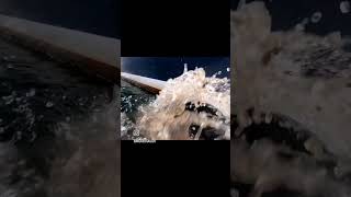 Ever Used a Power Tool Underwater Gross bottom cleaning made easy with the nemo tools hull cleaner [upl. by Oakie]