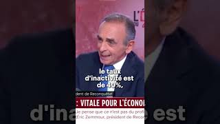 Aton besoin de main doeuvre étrangère  zemmour [upl. by Dnumyar672]