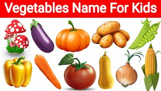 Vegetables name in English with pictures  Vegetables name with pictures  Vegetables vocabulary [upl. by Ranice]