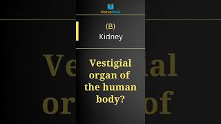 Which one is a vestigial organ of the human body [upl. by Tandie358]