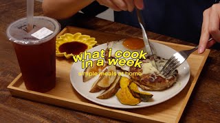 vlog  what i cook in a week japanese hamburg steak hoto nabe homemade bagels hotplate tofu [upl. by Black]