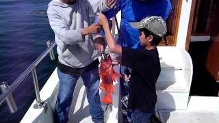 FISHING AT ENSENADA BAJA CALIFORNIA MEXICO [upl. by Lindell]