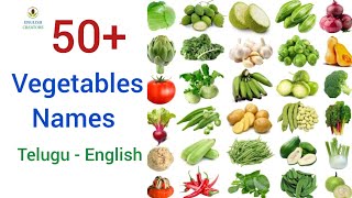 Vegetables Names in English amp Telugu  Leafy vegetable Names in Telugu  Daily Used English words [upl. by Trudi400]