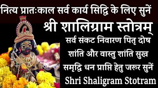 सर्व कार्य सिद्धि के लिए सुनें। श्री शालिग्राम स्तोत्रम्।Sri Shaligram Stotram।सर्व कामना पूर्ति हेत [upl. by Hoy753]